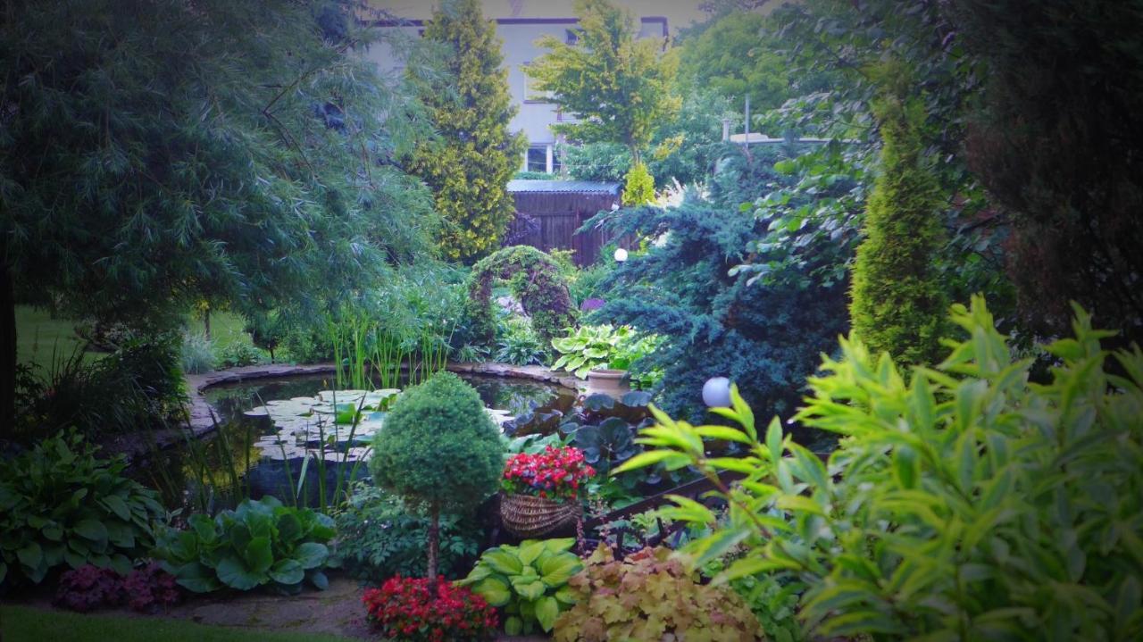 Apartamenty I Pokoje U Beaty Augustów Extérieur photo
